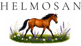 Helmosan