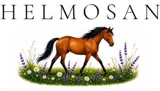 Helmosan