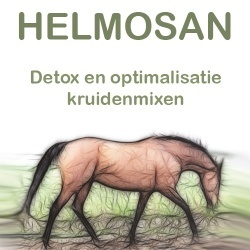 detox_1982786761